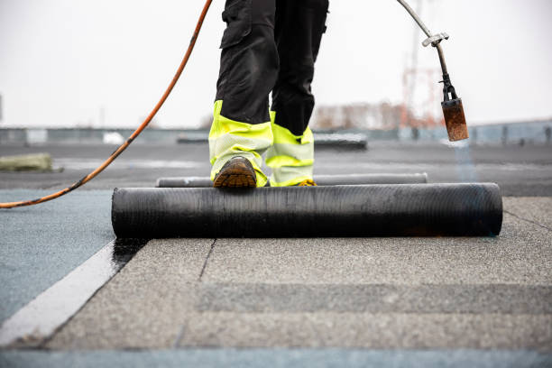 Roof Moss and Algae Removal in Choctaw Lake, OH